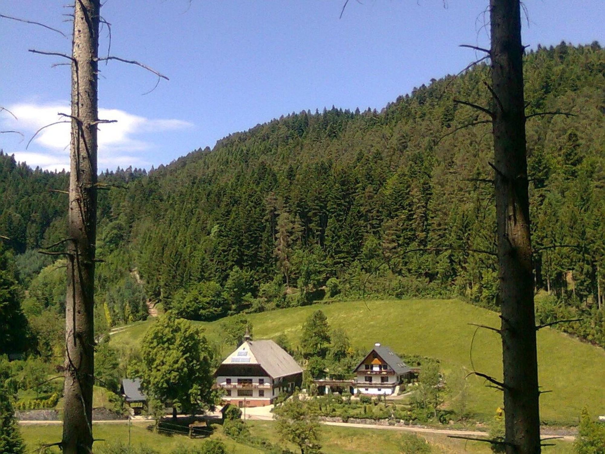 Ferienwohnung Waldbauernhof Hornberg Exterior foto